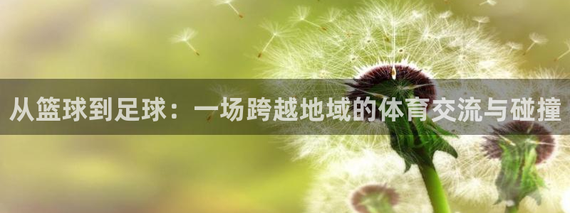 球客岛：从篮球到足球：一场跨越地域的体育交流与碰撞