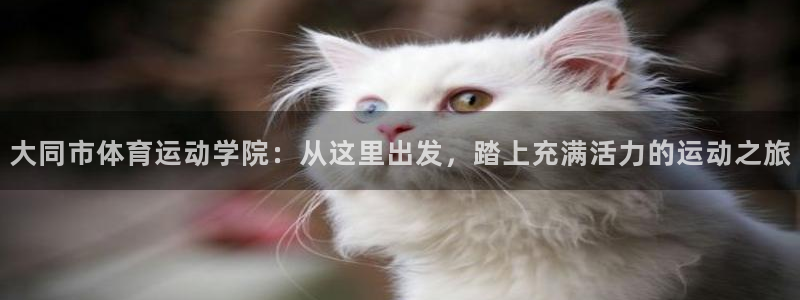 球客岛：大同市体育运动学院：从这里出发，踏上充满活力的运动之旅
