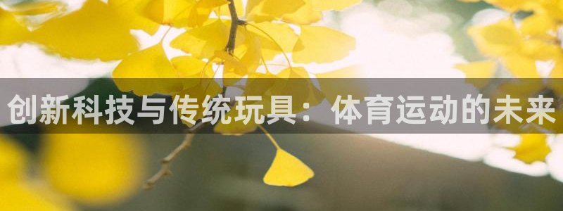 球客岛：创新科技与传统玩具：体育运动的未来