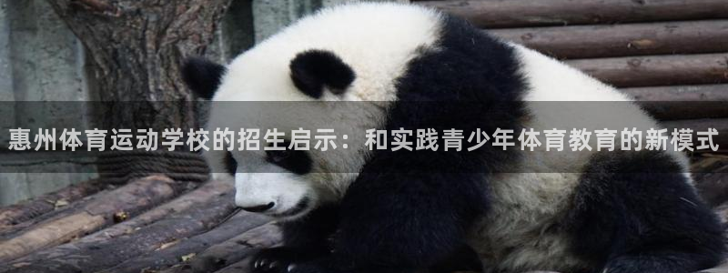 球客岛：惠州体育运动学校的招生启示：和实践青少年体育教育的新模式