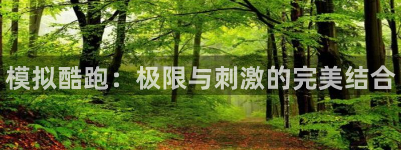 球客岛：模拟酷跑：极限与刺激的完美结合